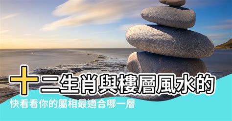 屬牛適合樓層|【屬牛住宅方位】屬牛最佳住房樓層和風水方位 